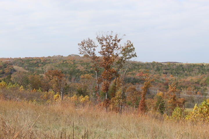 Picture 18