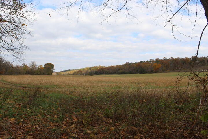 Picture 37