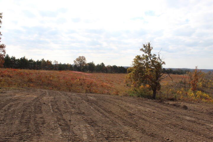 Picture 11