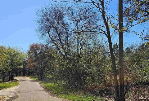Spacious Lot in Lindale, TX