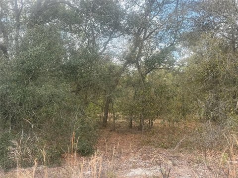 Residential Building Lot in Rainbow Lakes