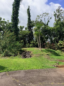 Corner Lot in Pahoa, HI