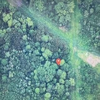 Port Huron Wooded Land Parcel