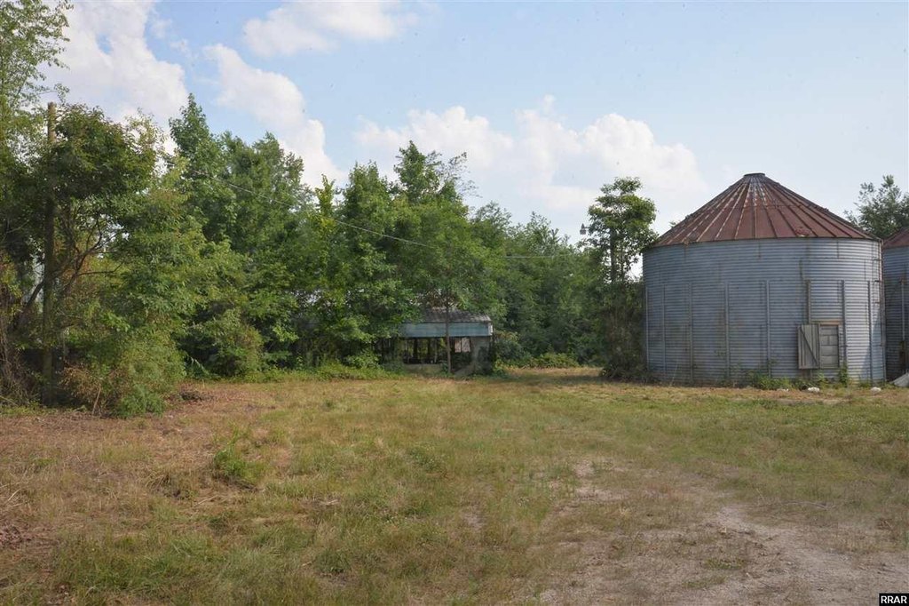 Picture 6