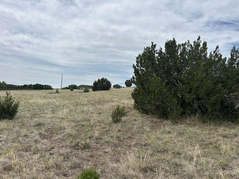 LAND - Colorado City, CO