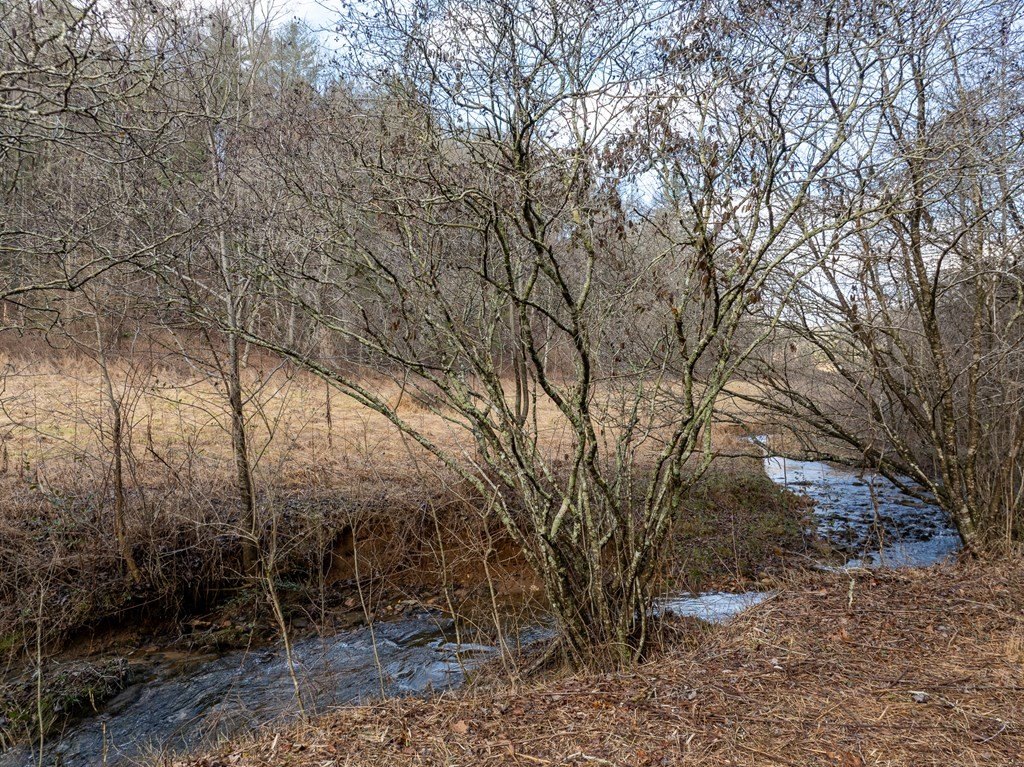 Picture 41