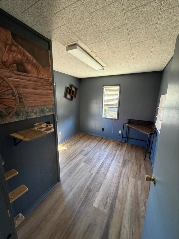 Picture 20