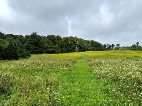 Land, Richford, NY