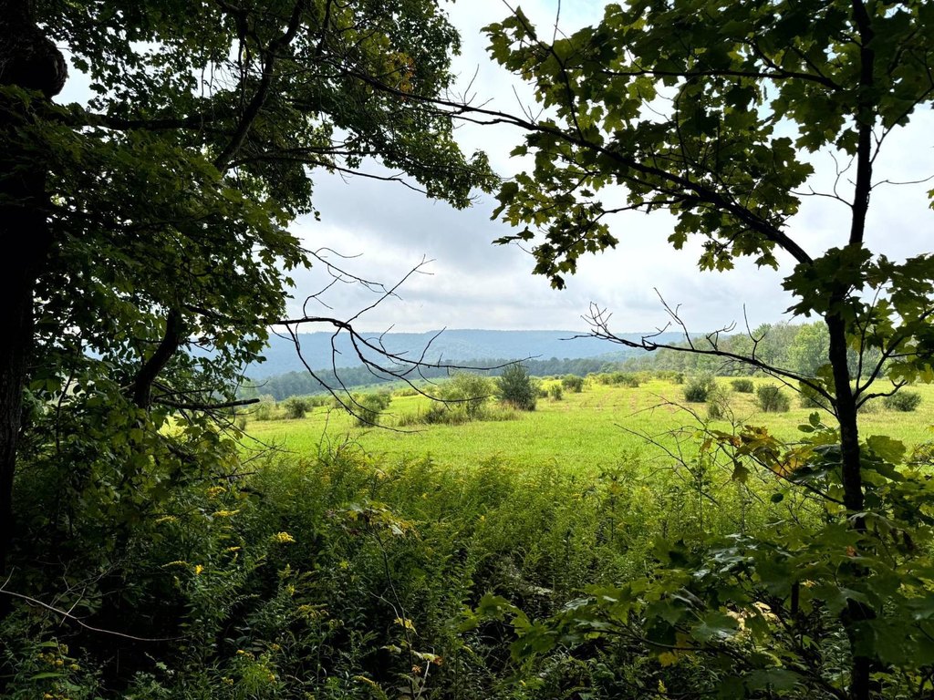 Picture 9