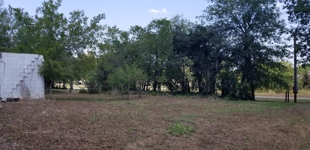 Picture 18