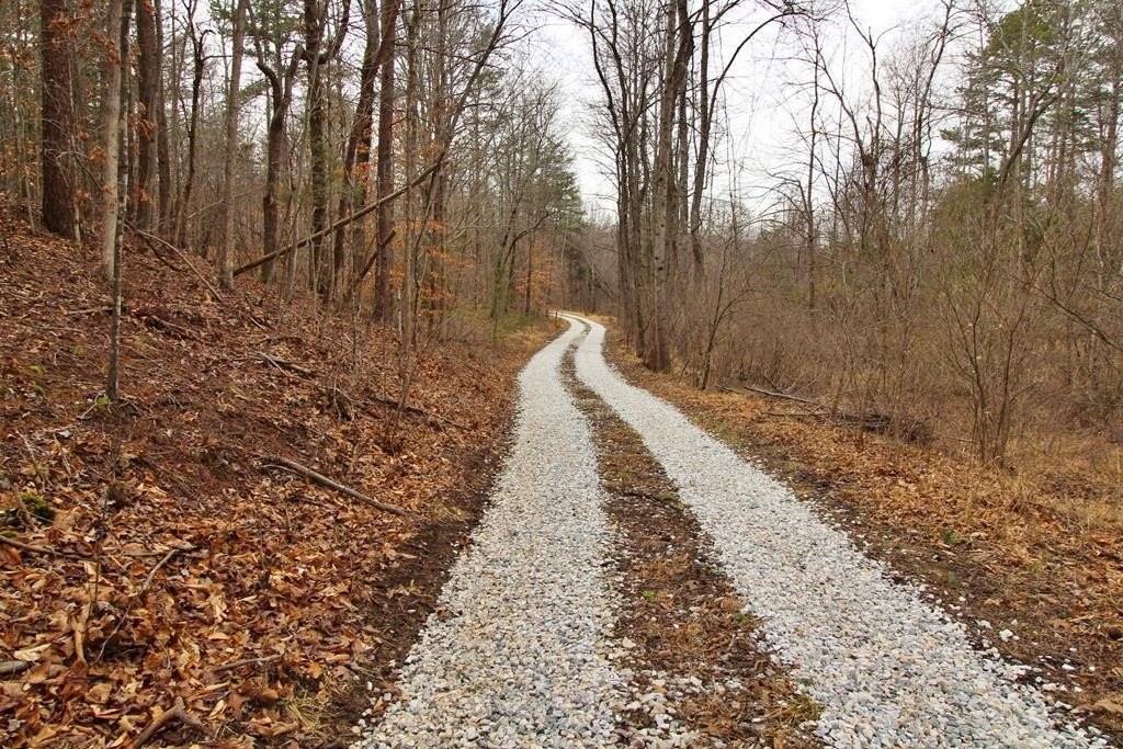 24-Acre Wooded Lot in Appomattox