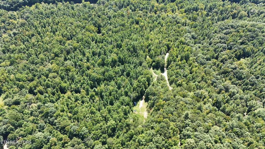 Picture 45