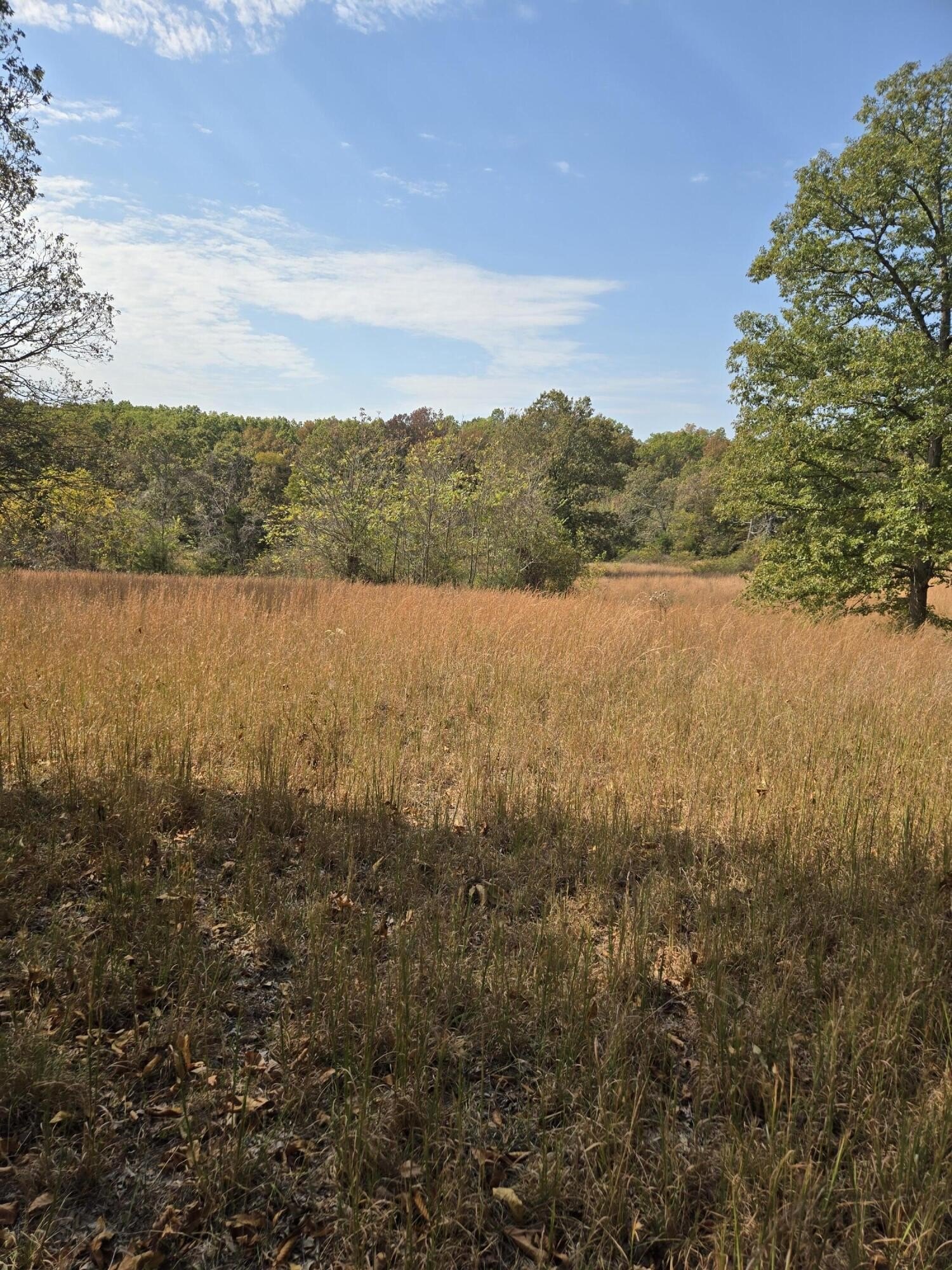Land in Ava, Missouri