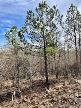 LAND - Broken Bow, OK