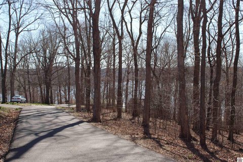Wooded Waterfront-Adjacent Land Lot