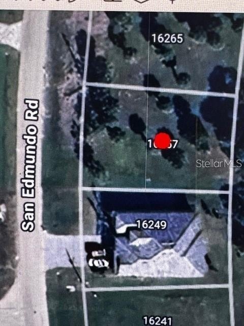 Picture 8