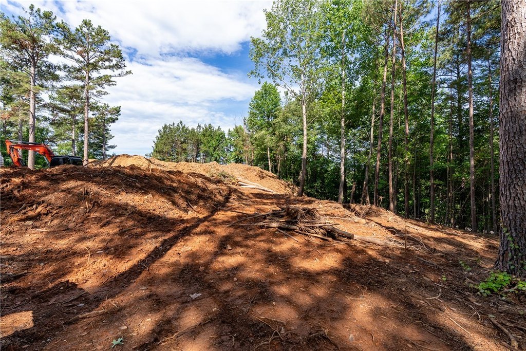 Picture 9