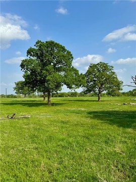 College Station AG-EXEMPT Acreage