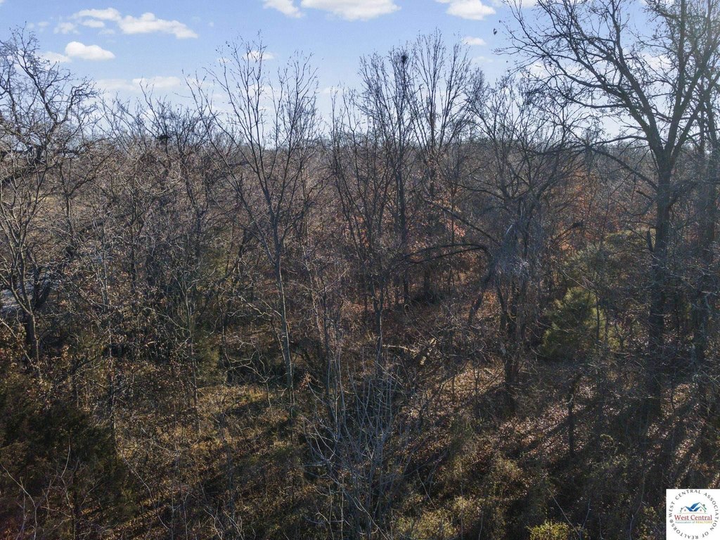 Picture 12