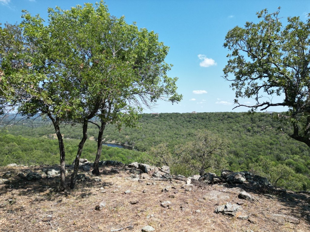 Picture 12