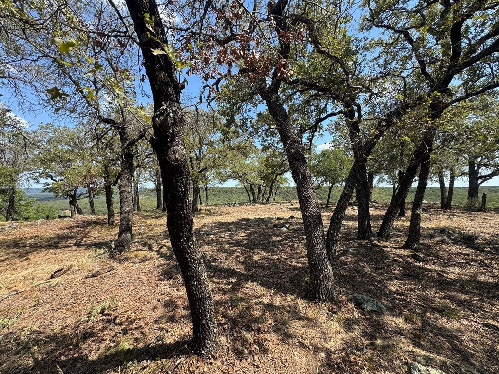 Picture 26