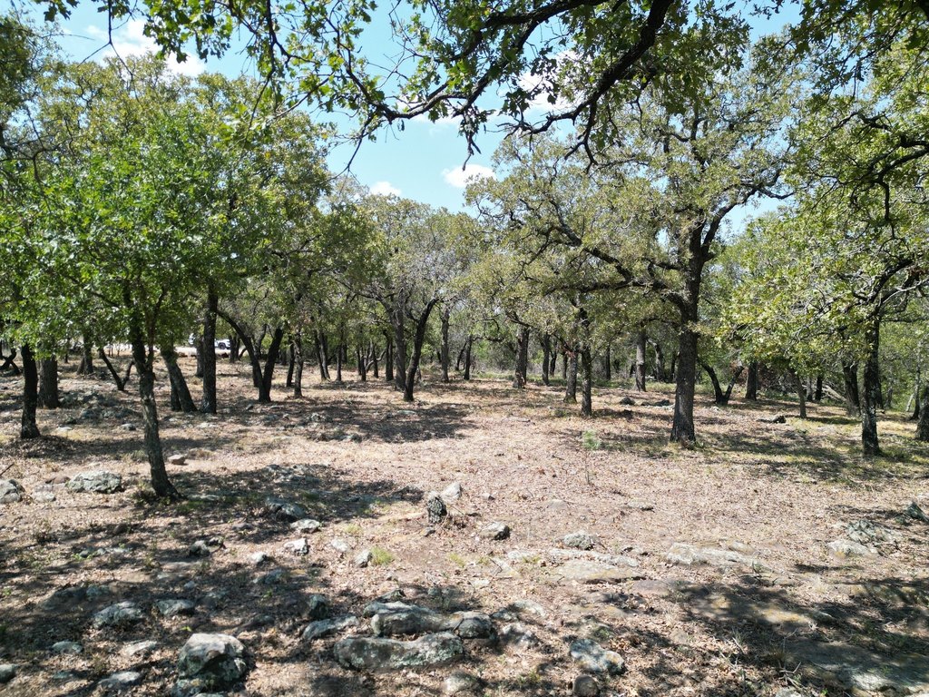 Picture 14