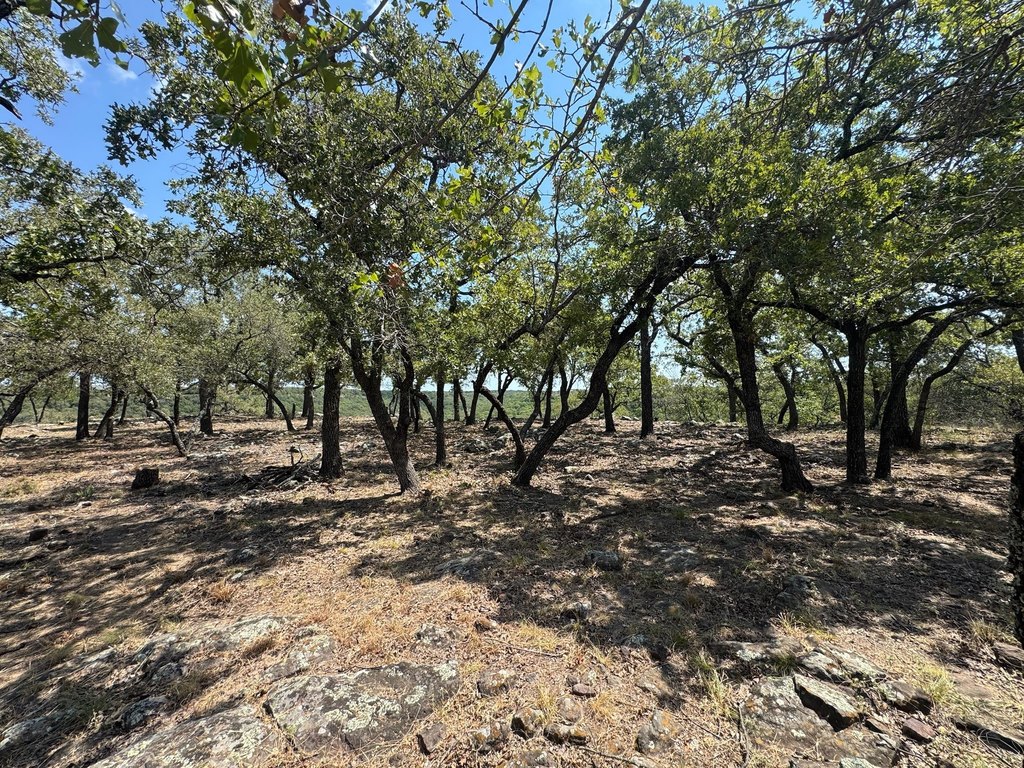 Picture 28
