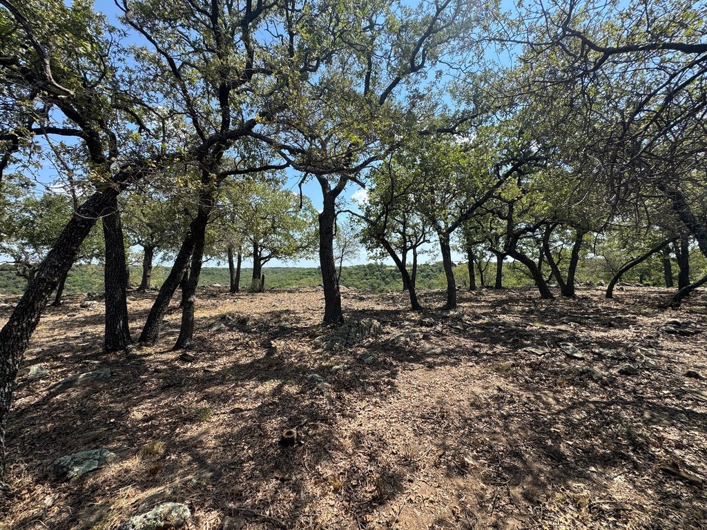 Picture 25