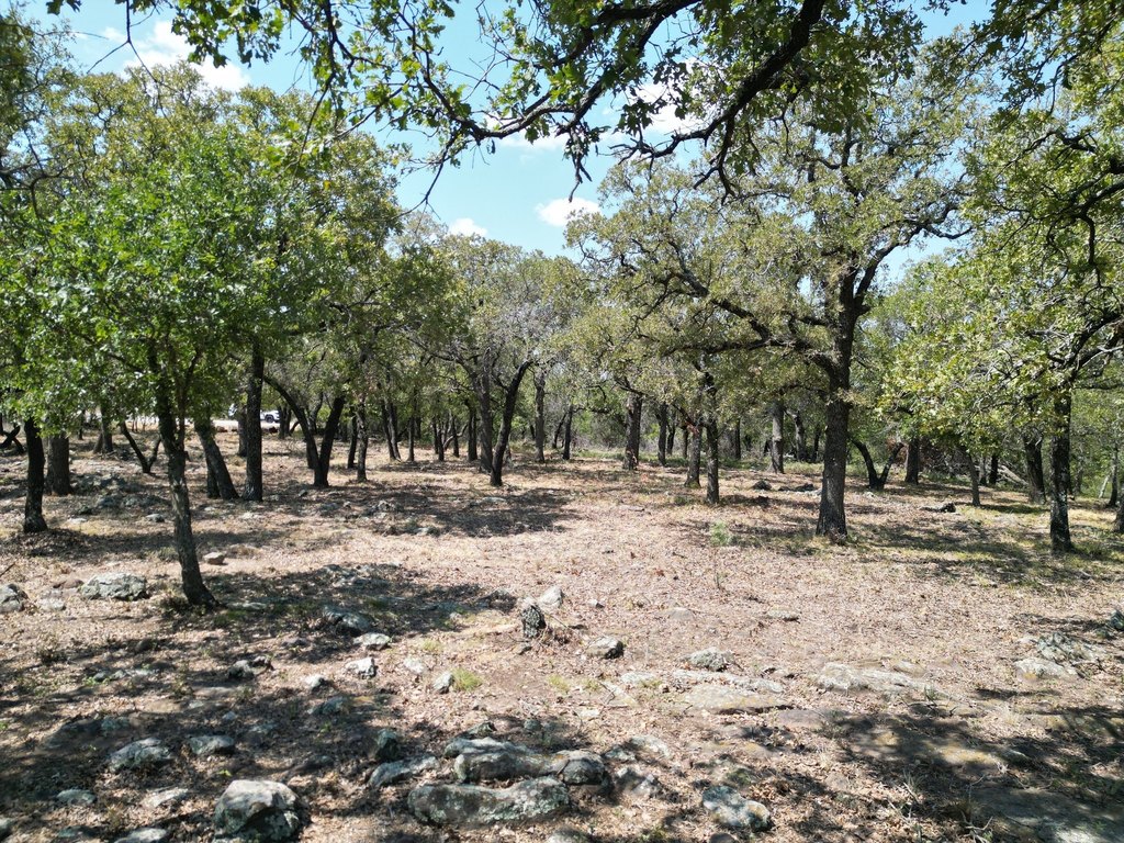 Picture 13
