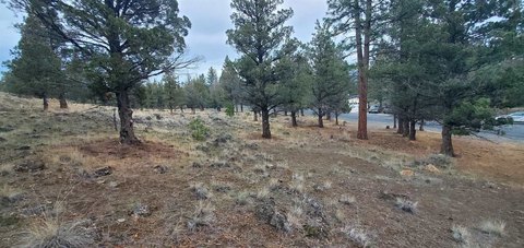 Land with Mt. Shasta View