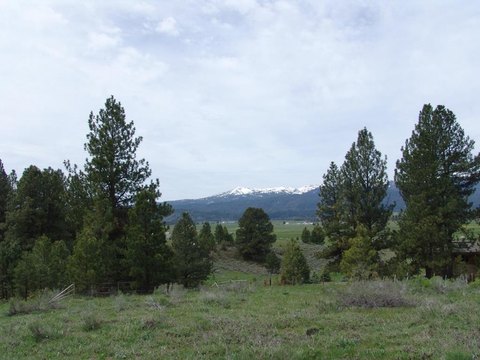 Wooded Acres in Cascade, Idaho