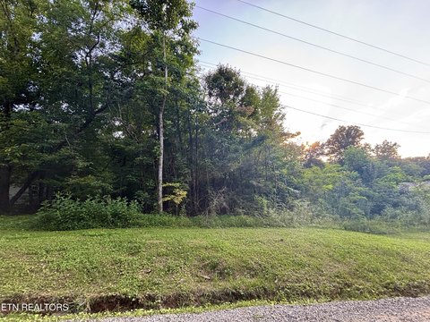 Lots & Acreage, Cosby, TN