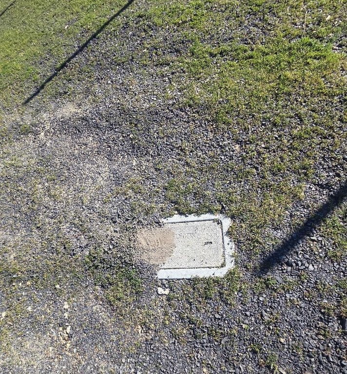 Picture 8
