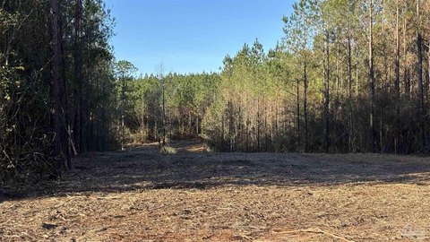 Allentown, FL Two-Acre Parcel