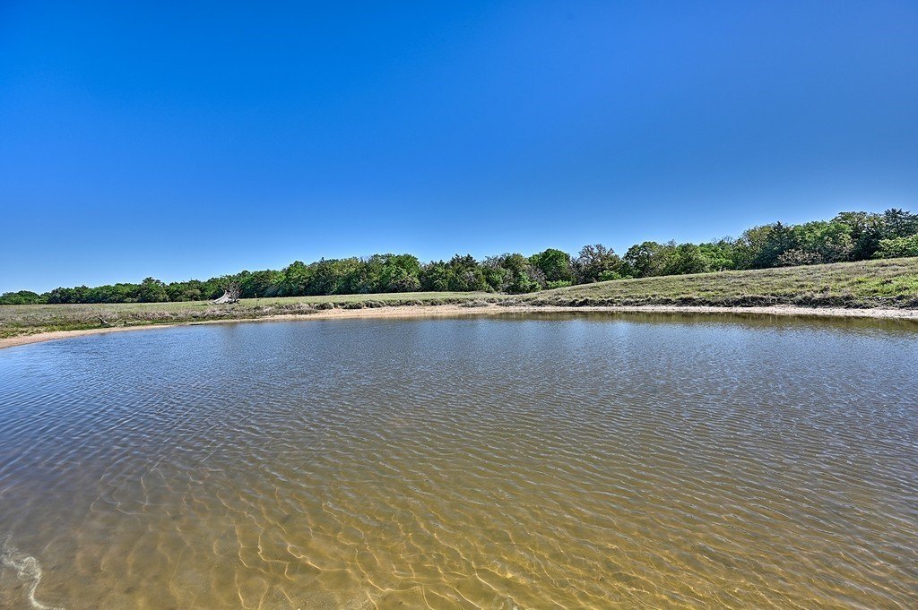 Picture 9