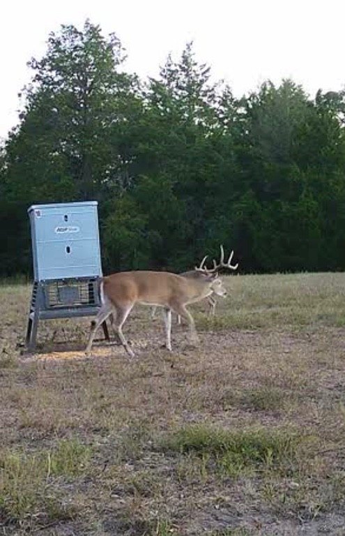 Picture 30