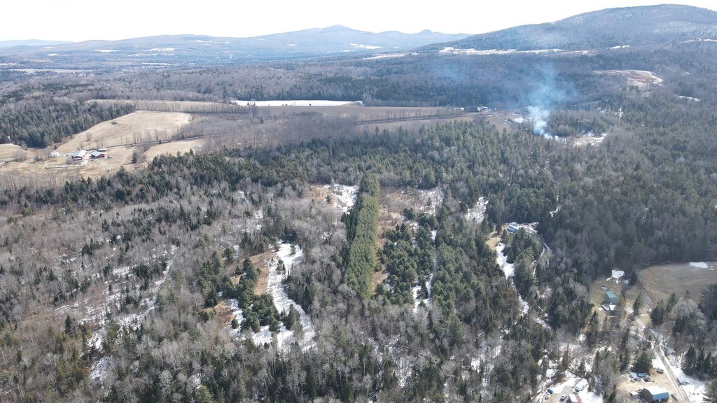 Picture 29