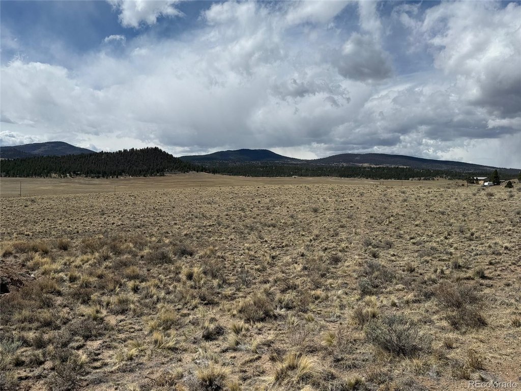 Picture 25
