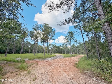 Land, Marianna, FL
