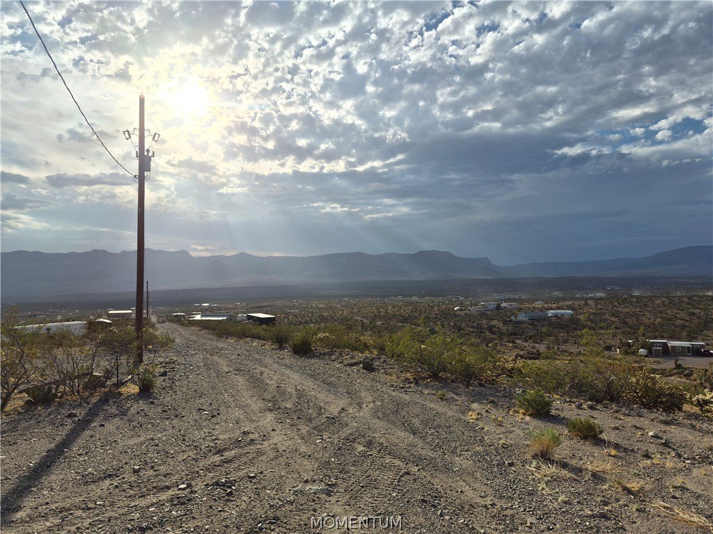 Picture 35