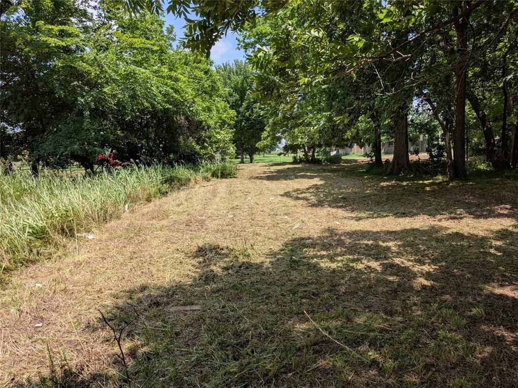 Picture 21