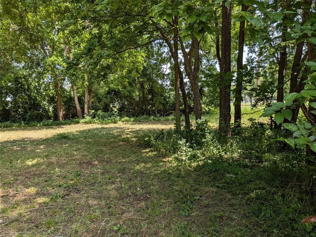 Picture 20