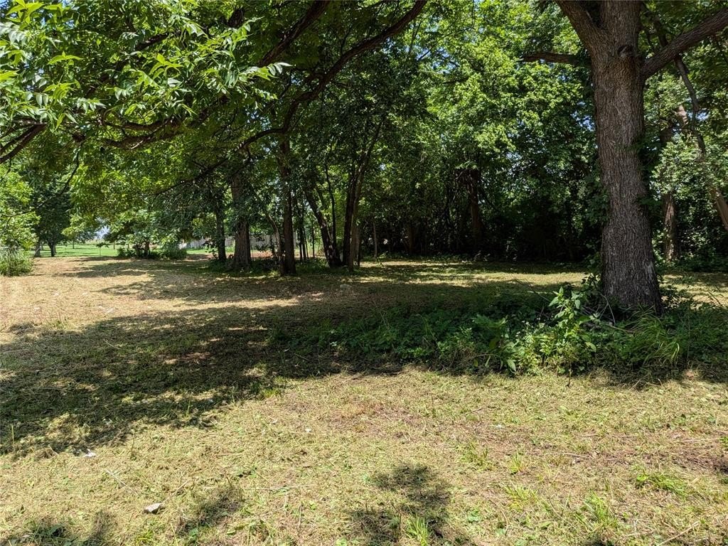 Picture 19
