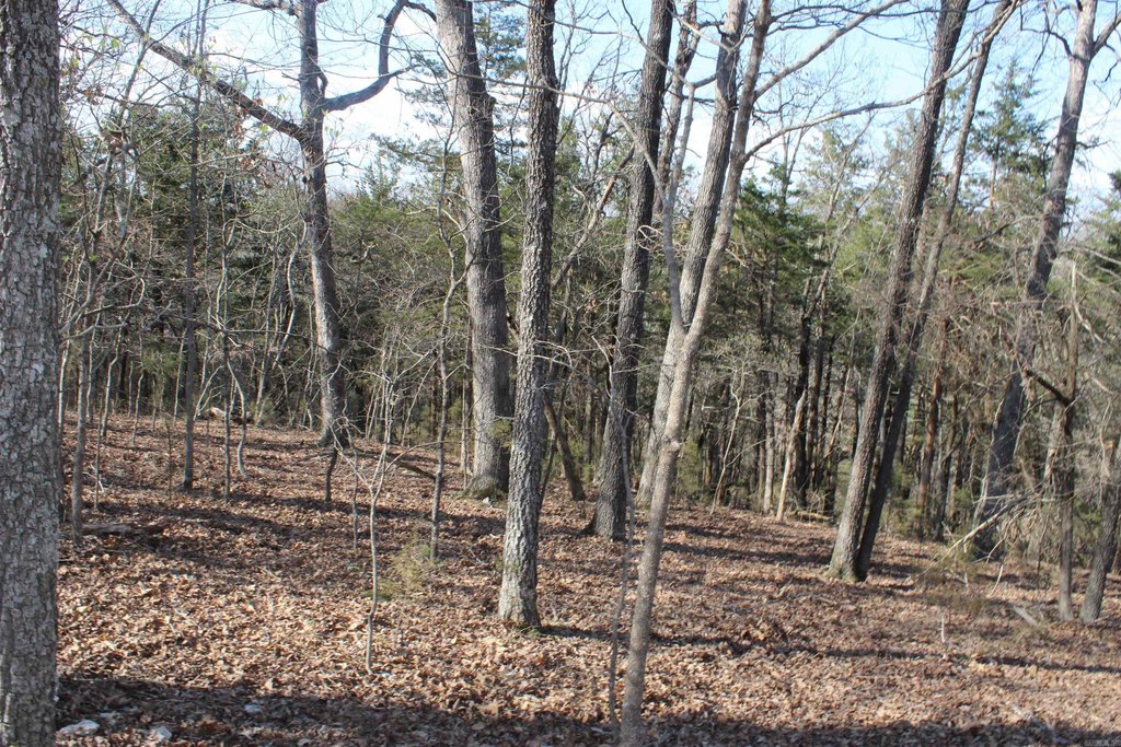 Picture 10