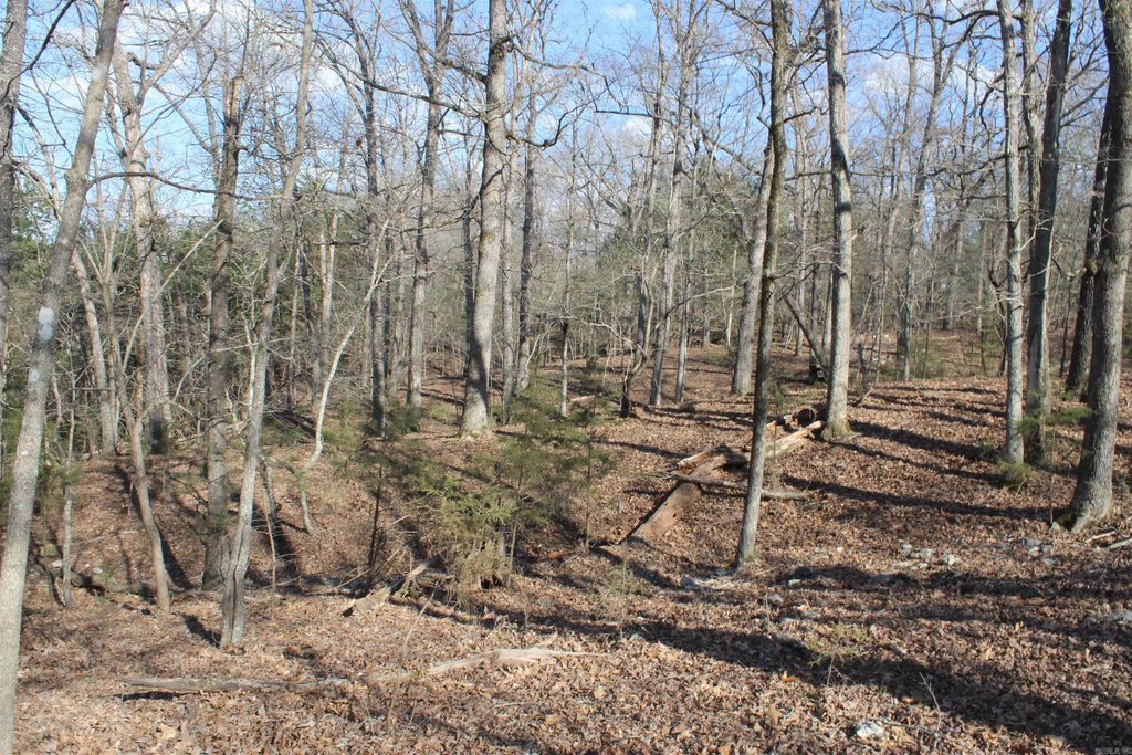 Picture 11