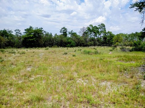 Land, Freeport, FL