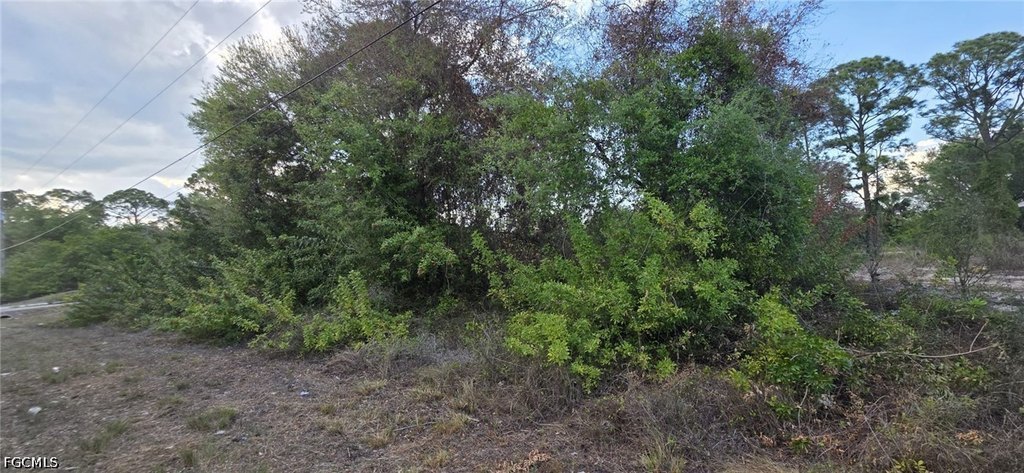 Picture 3