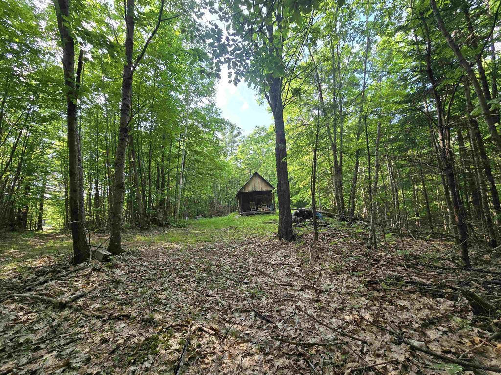 Picture 6