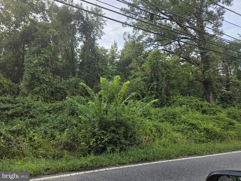 Fort Washington Land Parcel