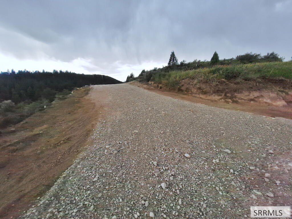 Picture 3